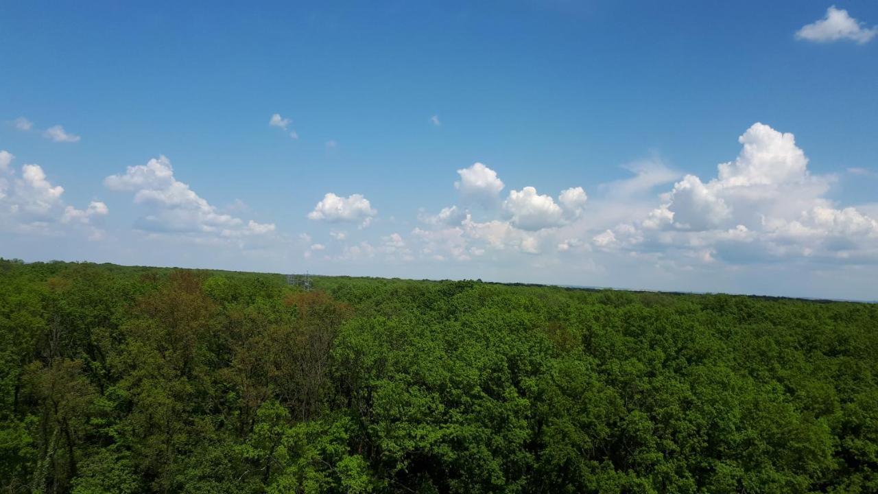 Foresthouse 2 Temesvár Kültér fotó