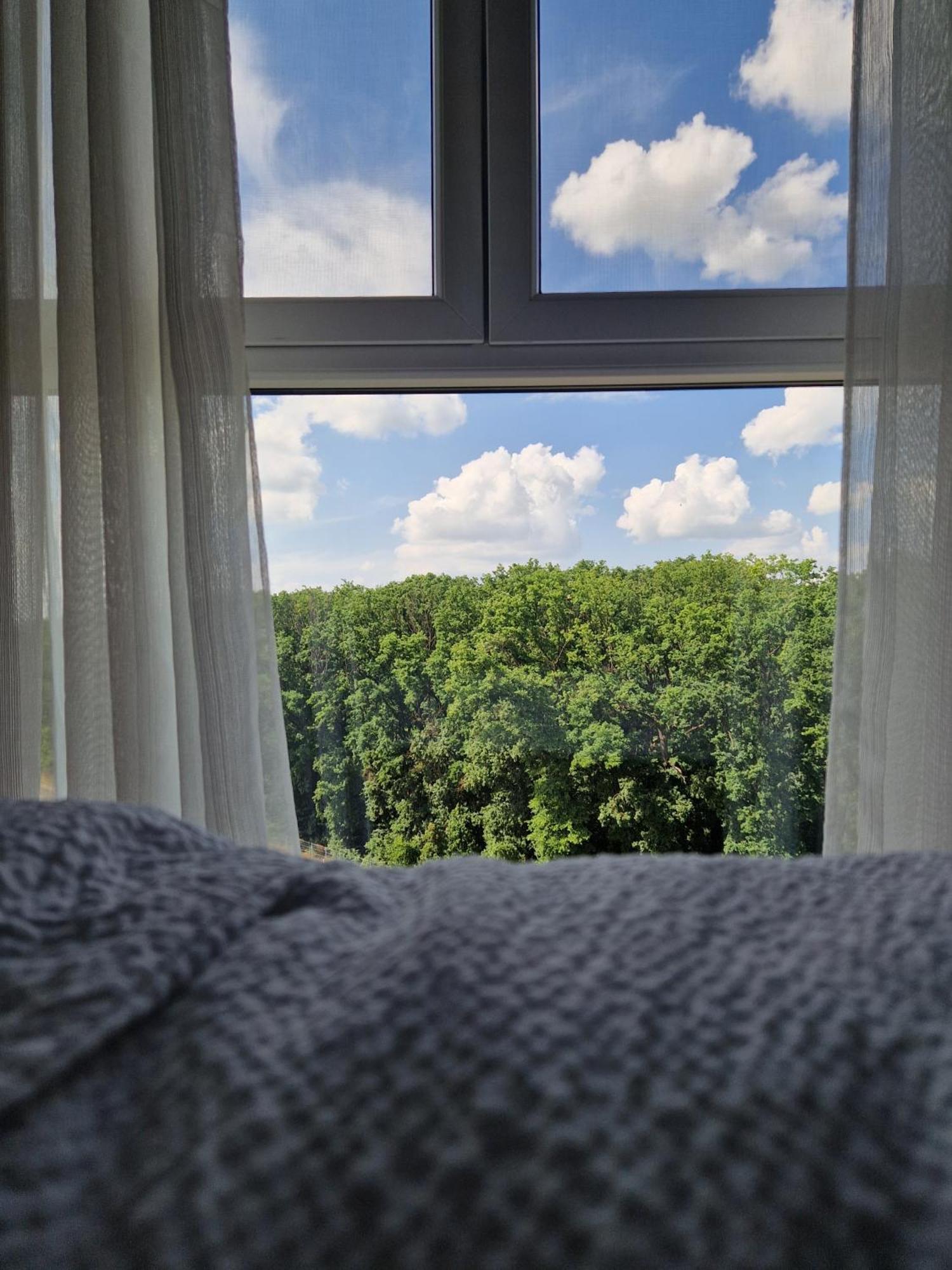 Foresthouse 2 Temesvár Kültér fotó